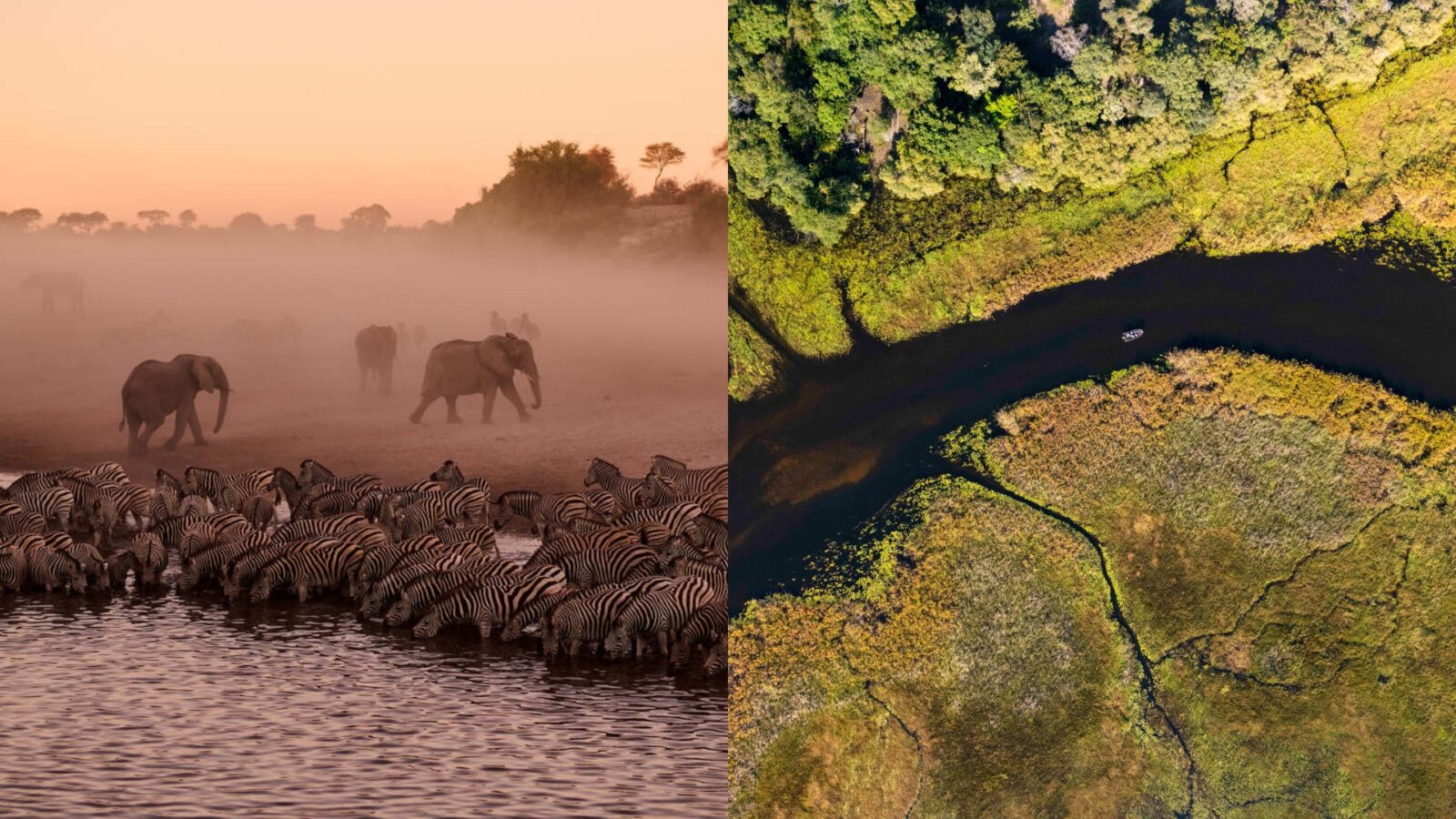 Desert & Delta Safaris Botswana