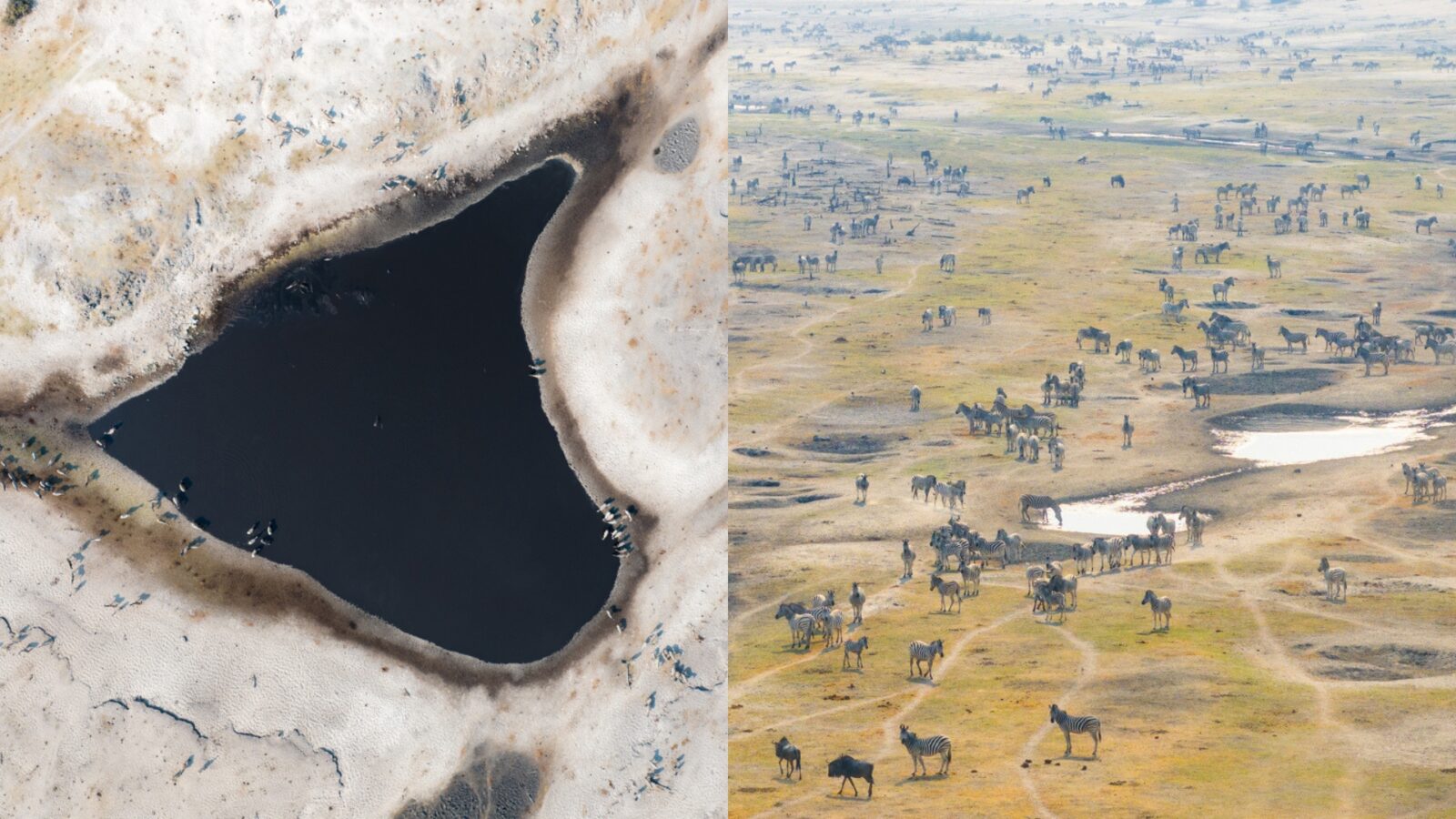 Desert & Delta Safaris Botswana