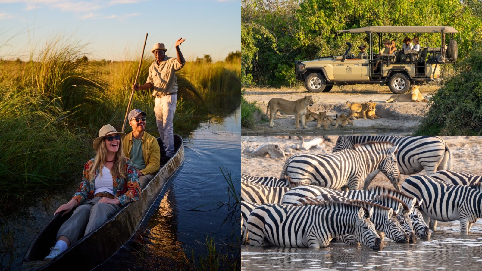 Desert & Delta Safaris Botswana