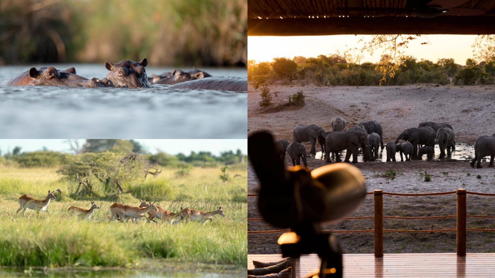 Desert & Delta Safaris Botswana