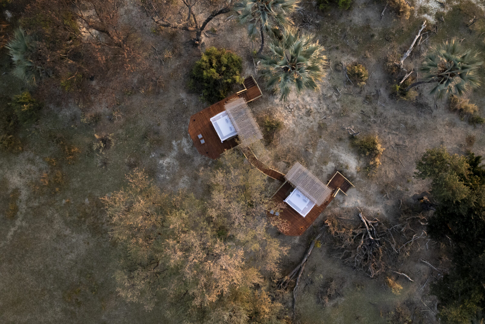 Camp Okavango Sleep-Out Deck drone overlooking the Okavango Delta wilderness by Desert & Delta Safaris.